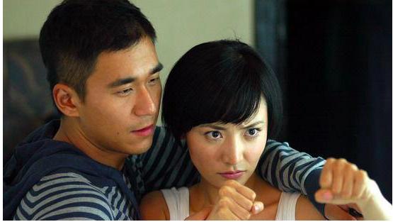 袁姍姍主演的電視劇，演技與劇情雙贏的佳作，袁姍姍佳作，演技與劇情雙贏的電視劇作品