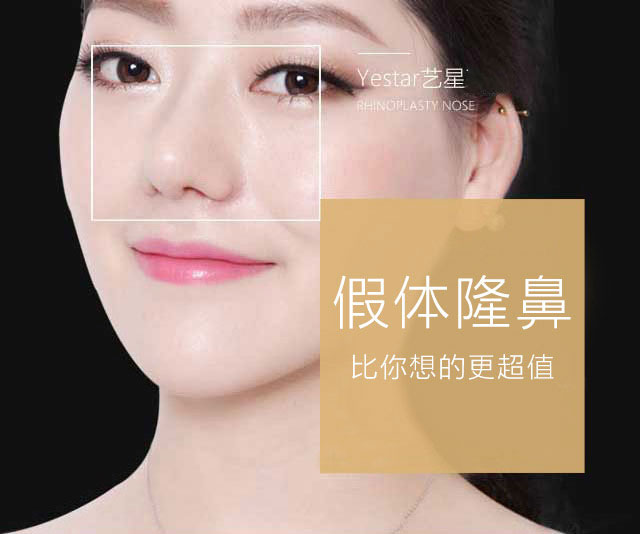 假體隆鼻價(jià)格詳解，多重因素決定最終費(fèi)用，假體隆鼻價(jià)格詳解，多重因素決定最終費(fèi)用及其影響因素分析