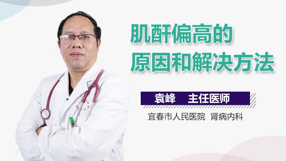 肌酐高的原因和危害，深入了解與應(yīng)對(duì)方法，肌酐高的原因、危害及應(yīng)對(duì)方法，全面解析與指導(dǎo)