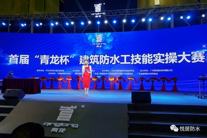 青龍精準(zhǔn)論壇資料，探索、分享與成長(zhǎng)，青龍精準(zhǔn)論壇，探索、分享與成長(zhǎng)之路