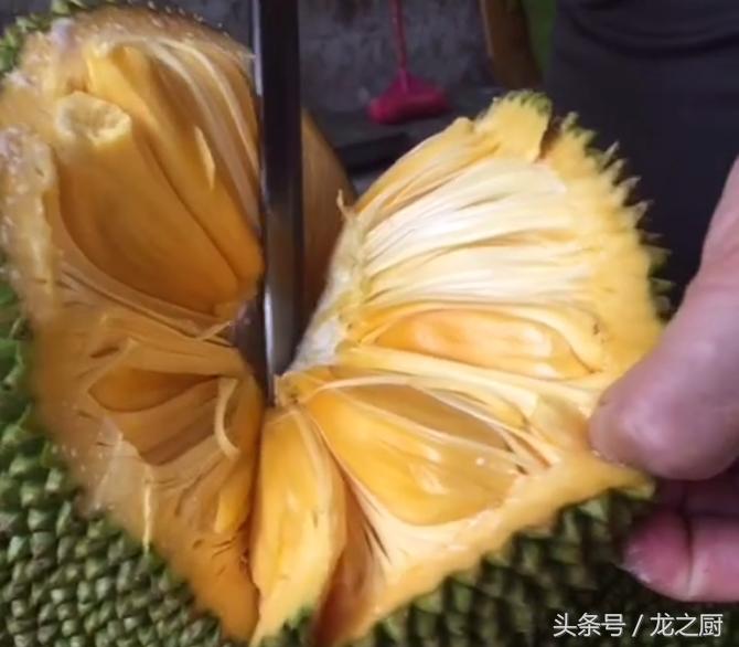 菠蘿蜜，揭示其強大的功效與作用，菠蘿蜜，強大功效與作用揭秘