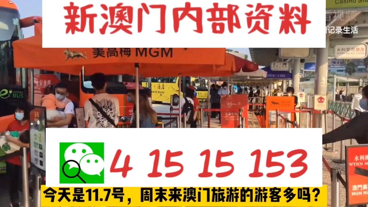六合社區(qū)⑨碼中特，探索與發(fā)現(xiàn)，六合社區(qū)⑨碼中特，探索與發(fā)現(xiàn)的旅程