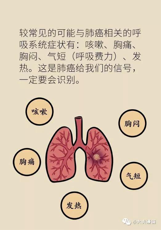 肺癌早期八個(gè)信號(hào)，了解并預(yù)防肺癌的重要性，肺癌早期八個(gè)信號(hào)及預(yù)防肺癌的重要性須知