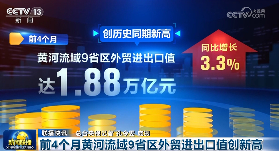 新澳2025年一肖一馬中特，預測與前景展望，新澳2025年生肖馬預測與未來展望