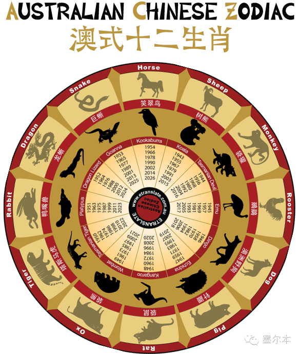 新澳12生肖圖，文化融合下的獨特藝術(shù)魅力，新澳12生肖圖，文化融合下的獨特藝術(shù)風(fēng)采