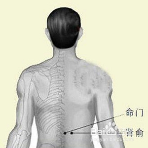 腎虛怎么辦？——全方位調(diào)理指南，腎虛全方位調(diào)理指南，一站式解決你的煩惱！