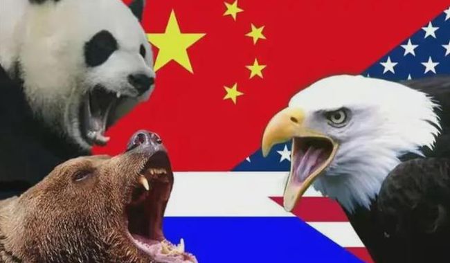 精鷹論壇二頭必中——探索、分享與成功的聚集地，精鷹論壇，探索、分享與成功的交匯點(diǎn)——二頭必中
