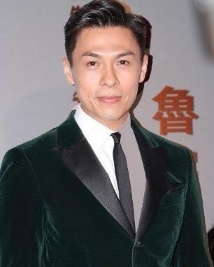 香港影壇傳奇，100位老牌男明星的璀璨人生，香港影壇傳奇，璀璨人生的男明星群像