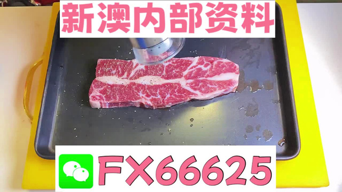 新澳2024生肖最新資料，探索生肖文化的魅力與未來趨勢，探索生肖文化的魅力與未來趨勢，新澳2024生肖最新資料揭秘