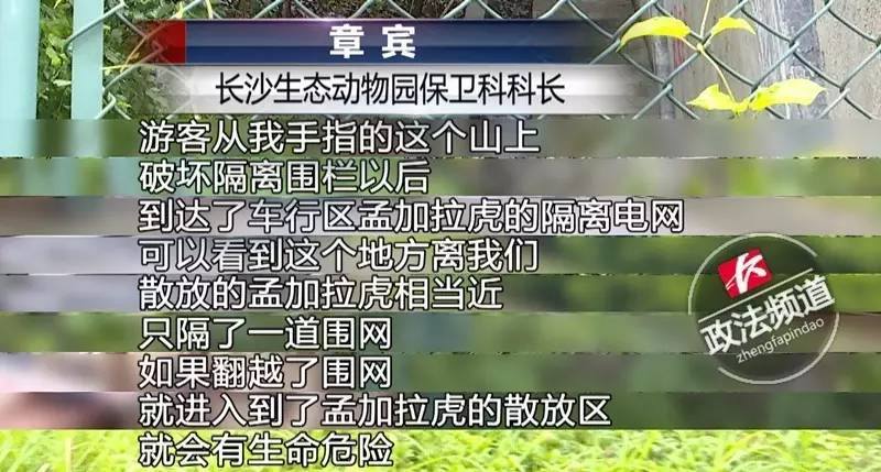 精準(zhǔn)殺肖公式全年無錯，揭秘神秘預(yù)測之道，揭秘精準(zhǔn)無誤的生肖預(yù)測公式，全年無差錯的神秘預(yù)測之道