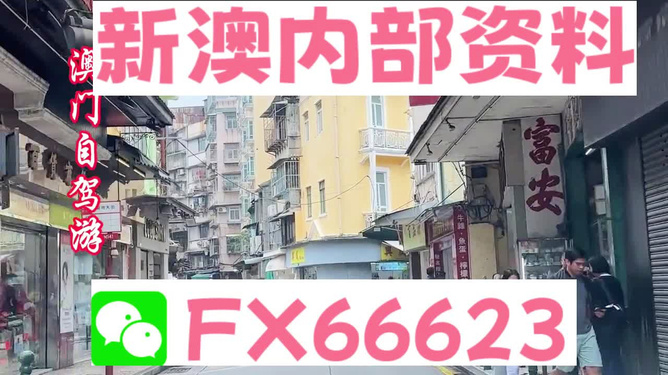 新澳精選資料SEO文章，新澳精選資料SEO文章解析