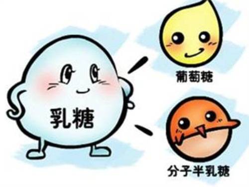 乳糖不耐受與大便圖片，了解、識(shí)別與應(yīng)對(duì)，乳糖不耐受與大便圖片，識(shí)別、了解與應(yīng)對(duì)策略