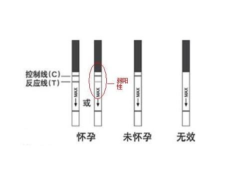 cairenqiu 第15頁(yè)
