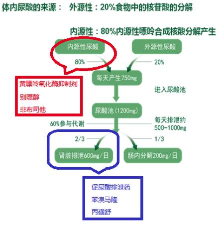 降尿酸的最佳方法，全方位指南，降尿酸全方位指南，最佳方法揭秘