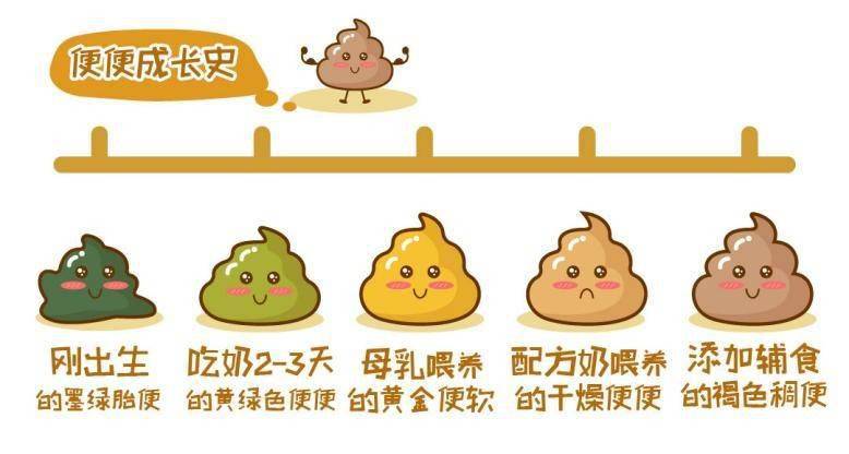 嬰兒大便顏色對照表，了解寶寶健康的重要指標(biāo)，嬰兒大便顏色對照表，揭示寶寶健康的秘密指標(biāo)