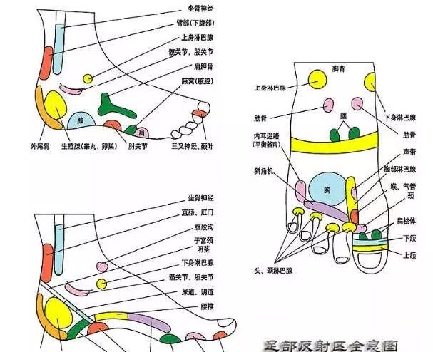 腳疼痛部位對照表，識別腳部疼痛的來源與應(yīng)對方法，腳疼痛部位對照表，識別疼痛來源與應(yīng)對方法全攻略