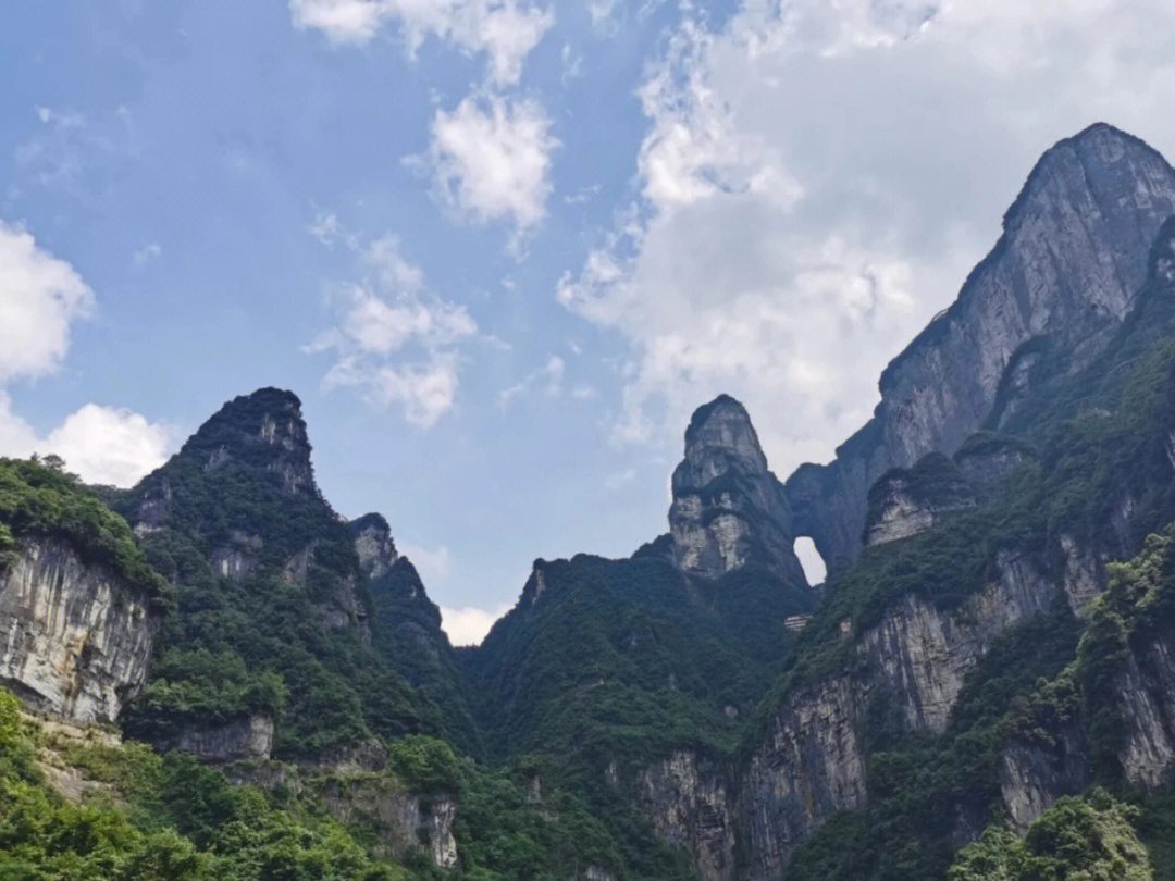 chenyibo 第12頁