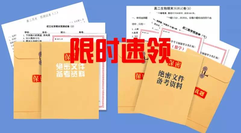 期期平特三連，揭秘鴻運碼王的魅力與關(guān)注價值，揭秘鴻運碼王，期期平特三連的魅力與關(guān)注價值