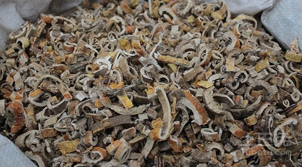 桑白皮的功效與作用，深入了解傳統(tǒng)中藥材的益處，桑白皮的功效與作用，探究傳統(tǒng)中藥材的益處