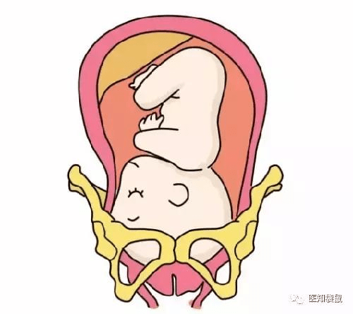 已入盆的三大征兆，深度解析身體變化與胎兒位置變化關(guān)系，已入盆的三大征兆，深度解析身體變化與胎兒位置關(guān)系揭秘