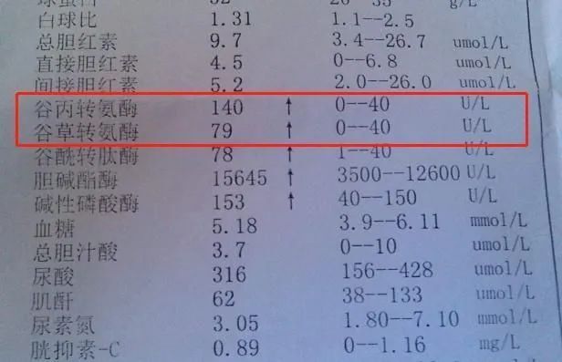 谷丙轉(zhuǎn)氨酶超過100，解讀背后的健康信號(hào)，谷丙轉(zhuǎn)氨酶超過100，揭示背后的健康警示信號(hào)
