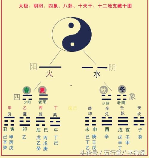一陰一陽取好碼最準(zhǔn)一肖——揭秘生肖運勢與數(shù)字密碼的奧秘，揭秘生肖運勢與數(shù)字密碼，一陰一陽取好碼最準(zhǔn)一肖的奧秘