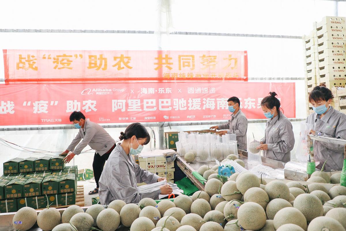 長沙至云南旅游跟團報價全面解析，長沙至云南旅游跟團報價詳解