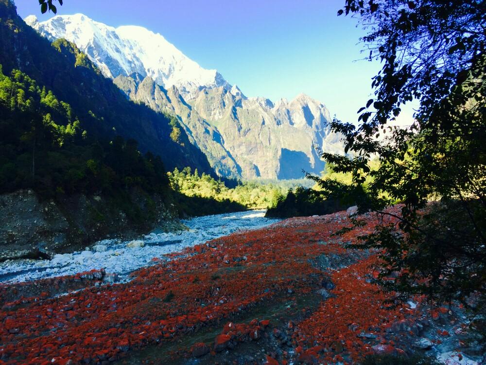 海螺溝旅游景點攻略，探索冰川秘境的絕佳體驗，海螺溝冰川秘境探索攻略，探索冰川秘境的絕佳體驗