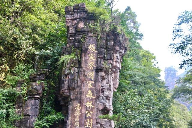 張家界森林公園門票價格詳解，張家界森林公園門票價格全面解析