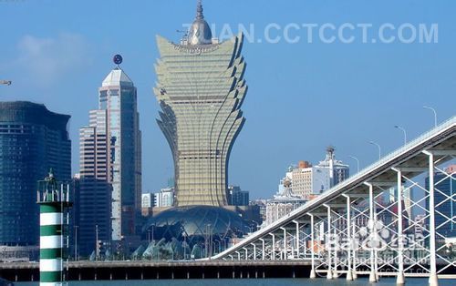 新澳門單雙王，揭秘背后的奧秘與策略，揭秘新澳門單雙王背后的奧秘與策略之道