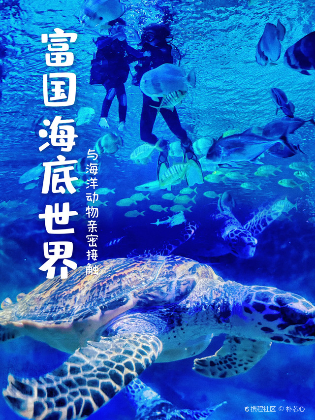 富國海底世界門票官網(wǎng)，探索神秘海洋的門戶，富國海底世界門票官網(wǎng)，探索神秘海洋的入口