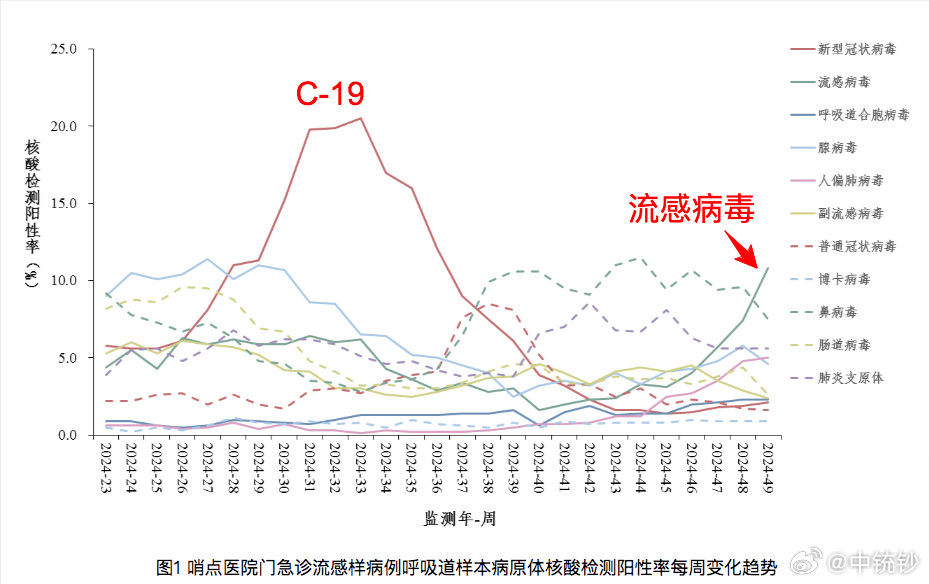 關(guān)于2024最近爆發(fā)的流感名稱的探討，關(guān)于流感名稱的探討，揭秘近期爆發(fā)的流感名稱