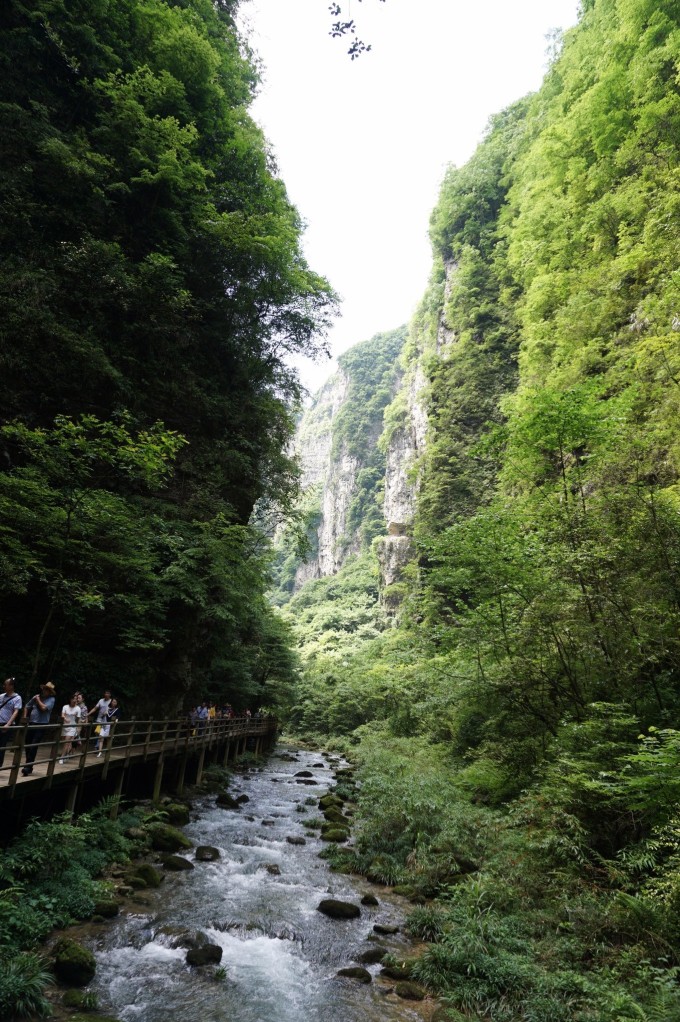張家界大峽谷，自然之美，盡收眼底，張家界大峽谷，自然美景盡收眼底