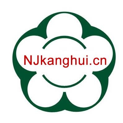 南京旅行社，探索古都的絕佳選擇，南京旅行社，古都探索之旅的首選之地