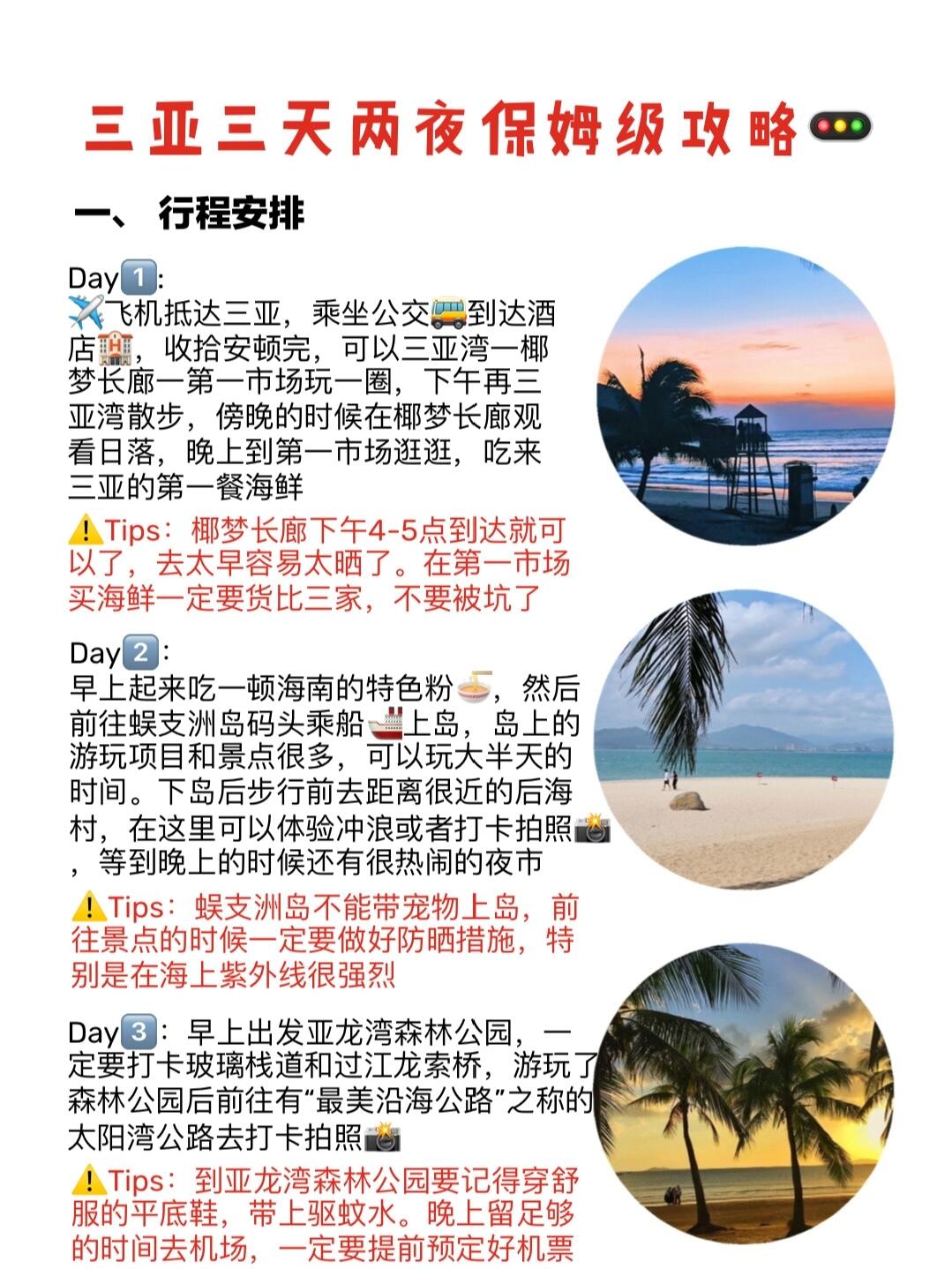 熱帶風(fēng)情探索之旅