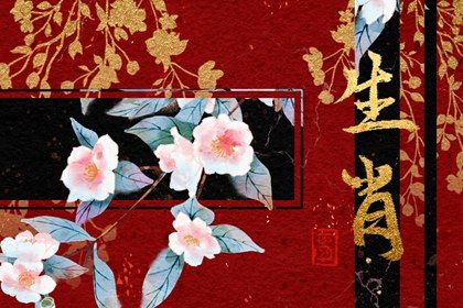 亡肖圖，揭秘背后的神秘面紗，揭秘亡肖圖的神秘面紗