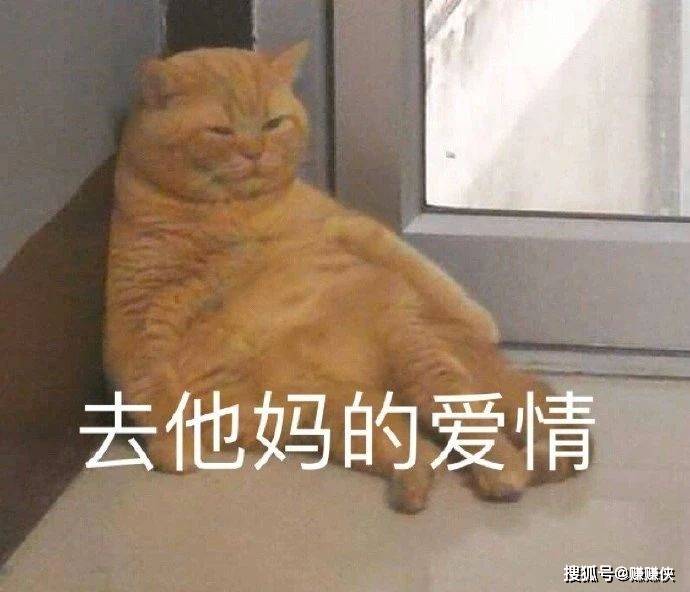 請(qǐng)告訴我，給我好不好這個(gè)關(guān)鍵詞的深層含義與SEO應(yīng)用策略，好不好關(guān)鍵詞的深層含義與SEO應(yīng)用策略探究