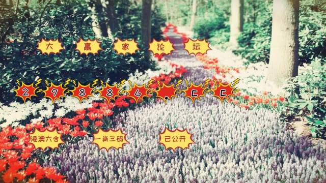 管家一肖一碼，揭秘精準免費的資料世界，揭秘管家一肖一碼，精準免費資料世界的秘密