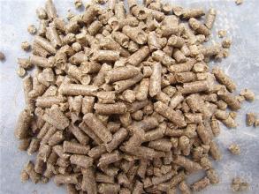 高手論壇免費(fèi)資料網(wǎng)——探索知識(shí)的寶藏之地，高手論壇，免費(fèi)資料網(wǎng)，探索知識(shí)的寶藏平臺(tái)