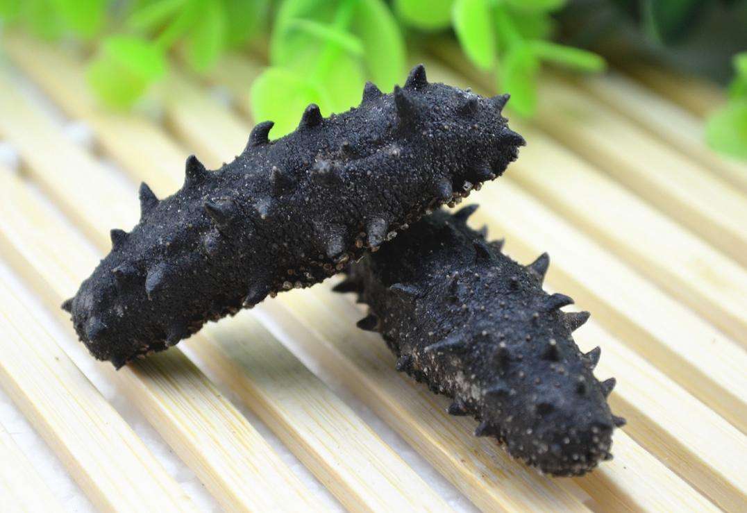 海參的功效與作用及食用方法，海參的功效、作用與食用方法全解析
