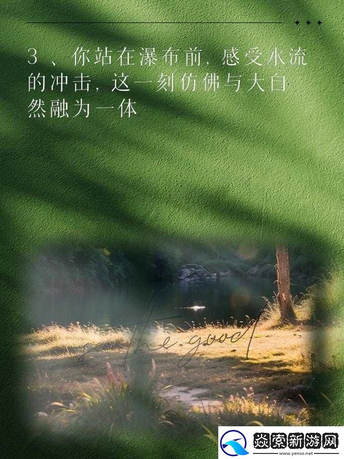 融為一體，深度探索舒適感的極致境界，舒適感的極致境界，深度探索與融為一體