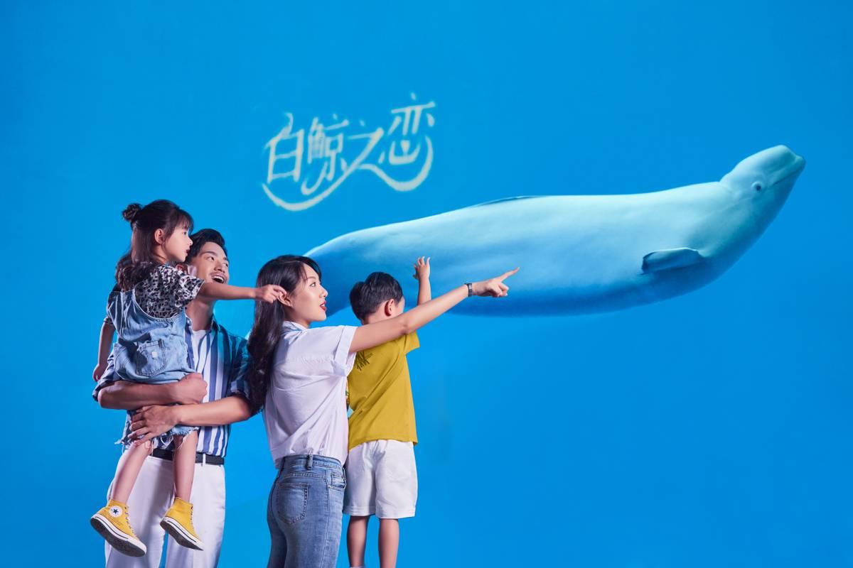 上海海昌海洋公園門票價格詳解，上海海昌海洋公園門票價格全面解析