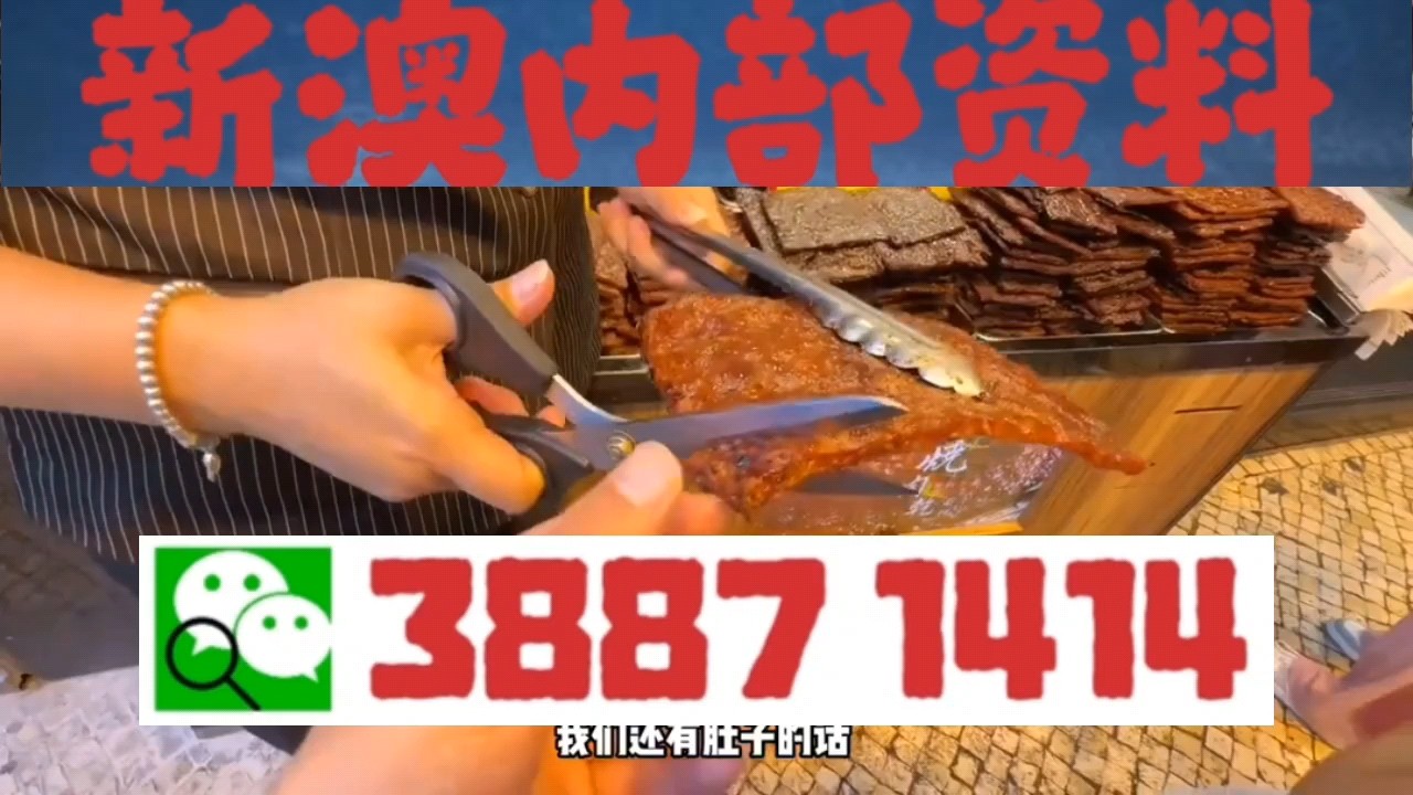 新澳門精準5碼中特，探索與解析，新澳門精準5碼中特，深度探索與解析