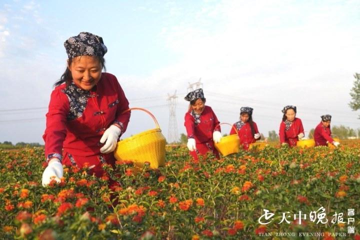 強(qiáng)直性脊柱炎患者的壽命預(yù)期，了解疾病與生活質(zhì)量的關(guān)系，強(qiáng)直性脊柱炎患者的壽命預(yù)期，疾病對(duì)生活質(zhì)量的影響探究