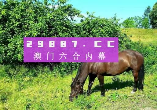 澳門王中王，揭秘一肖一馬的獨(dú)特魅力，澳門王中王，揭秘獨(dú)特魅力的一肖一馬