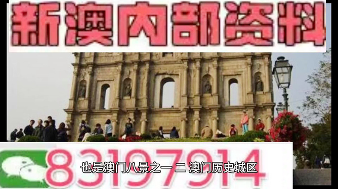 新澳門正版資料，探索與解析，澳門正版資料深度解析與探索