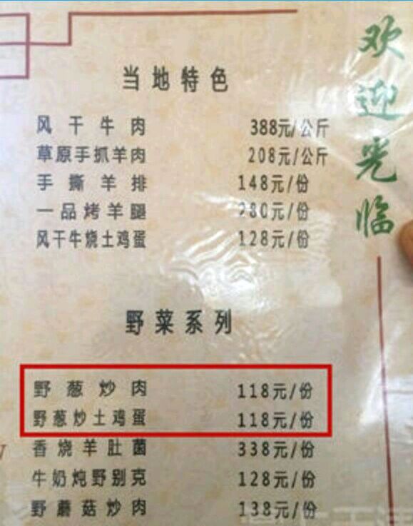 王中王118期平特一肖，揭秘彩票背后的秘密與策略，揭秘彩票背后的秘密與策略，王中王118期平特一肖分析