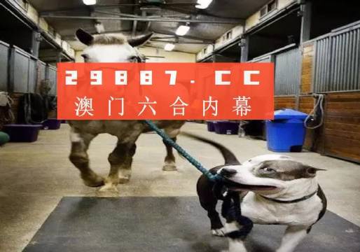 澳門一肖一碼一必中一肖，同舟前進(jìn)的奧秘與策略，澳門一肖一碼必中策略與前進(jìn)奧秘，同舟共濟(jì)的揭秘與策略