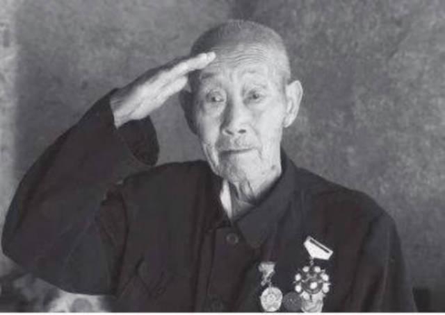 劉伯溫論壇中的平特一肖，深度解析與探討，劉伯溫論壇平特一肖深度解析與探討