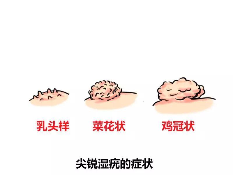luyuling 第12頁